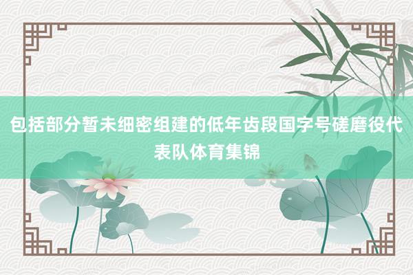 包括部分暂未细密组建的低年齿段国字号磋磨役代表队体育集锦