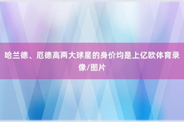 哈兰德、厄德高两大球星的身价均是上亿欧体育录像/图片